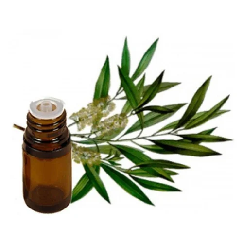 Tea Tree Oil